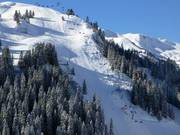Uitzicht op de zware pistes en skiroutes op de Sunnegg