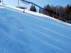 Skigebieden voor gevorderden en off-piste skiërs Duitse Middelgebergte – Gevorderden, off-piste skiërs Winterberg (Skiliftkarussell)