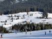 Pillerseetal: accomodatieaanbod van de skigebieden – Accommodatieaanbod Steinplatte-Winklmoosalm – Waidring/Reit im Winkl