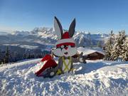 Tip voor de kleintjes  - Hopsi-Kinderland van Skischule Hopl (Planai)