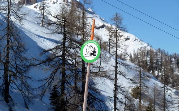 Nassfeld-Pressegger See: milieuvriendelijkheid van de skigebieden – Milieuvriendelijkheid Nassfeld – Hermagor