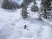 Skigebieden voor gevorderden en off-piste skiërs Salt Lake City – Gevorderden, off-piste skiërs Solitude
