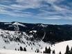 Skigebieden voor gevorderden en off-piste skiërs Rocky Mountains – Gevorderden, off-piste skiërs Vail