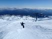 Skigebieden voor gevorderden en off-piste skiërs Australië en Oceanië – Gevorderden, off-piste skiërs Tūroa – Mt. Ruapehu