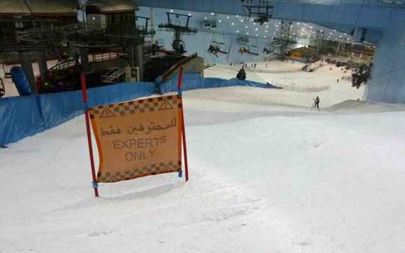 Skigebieden voor gevorderden en off-piste skiërs Verenigde Arabische Emiraten – Gevorderden, off-piste skiërs Ski Dubai – Mall of the Emirates