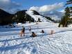 Skigebieden voor beginners in de Coast Mountains – Beginners Grouse Mountain