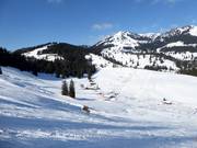 Uitzicht vanaf de Waldkopf naar de Untere Sudelfeld met snowpark