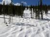Skigebieden voor gevorderden en off-piste skiërs Colorado – Gevorderden, off-piste skiërs Winter Park Resort