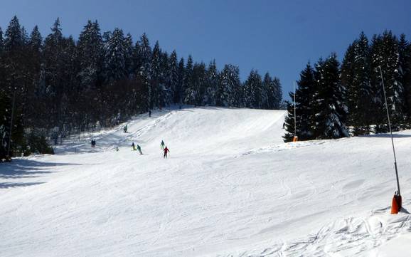 Hoogste dalstation in het Zwarte Woud – skigebied Haldenköpfle