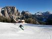 Val di Fassa (Fassatal): beoordelingen van skigebieden – Beoordeling Catinaccio/Ciampedie – Vigo di Fassa/Pera di Fassa