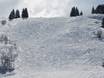 Skigebieden voor gevorderden en off-piste skiërs Pays du Mont Blanc – Gevorderden, off-piste skiërs Espace Diamant – Les Saisies/Notre-Dame-de-Bellecombe/Praz sur Arly/Flumet/Crest-Voland
