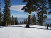 Californië: oriëntatie in skigebieden – Oriëntatie Homewood Mountain Resort