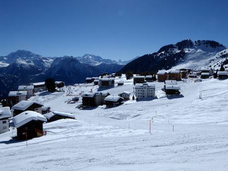 Duits Zwitserland: milieuvriendelijkheid van de skigebieden – Milieuvriendelijkheid Aletsch Arena – Riederalp/Bettmeralp/Fiesch Eggishorn