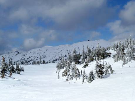 Columbia Mountains: Grootte van de skigebieden – Grootte Big White