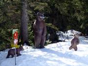 Op het winterwandelpad maakt u kennis met de dieren die in de Alpen leven. 