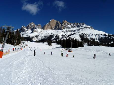 Skigebieden voor beginners in het Val di Fassa (Fassatal) – Beginners Carezza