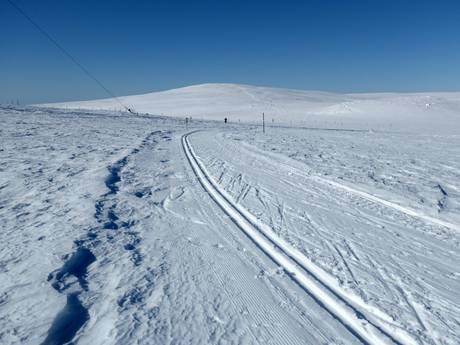 Langlaufen Noord-Zweden – Langlaufen Dundret Lapland – Gällivare