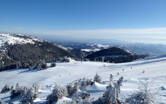 Beste skigebied in de Dinarische Alpen – Beoordeling Kopaonik