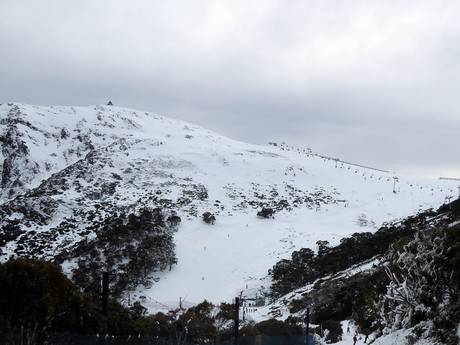 Skigebieden voor gevorderden en off-piste skiërs Australië – Gevorderden, off-piste skiërs Mt. Buller