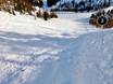 Skigebieden voor gevorderden en off-piste skiërs zuidelijke Franse Alpen – Gevorderden, off-piste skiërs Isola 2000