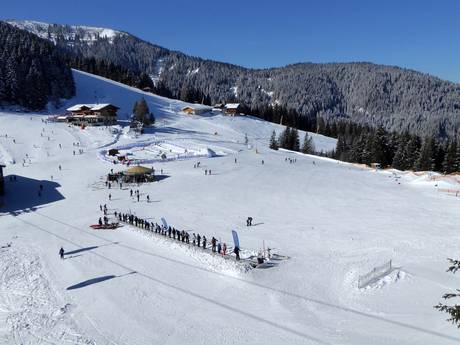 Skigebieden voor beginners in  de vakantieregio Alpbachtal – Beginners Ski Juwel Alpbachtal Wildschönau