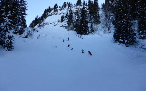 Skigebieden voor gevorderden en off-piste skiërs Toggenburg – Gevorderden, off-piste skiërs Wildhaus – Gamserrugg (Toggenburg)