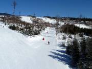 In het onderste gedeelte van het skigebied domineren de lichte pistes