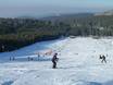 Skigebieden voor beginners in het Zwarte Woud – Beginners Mehliskopf