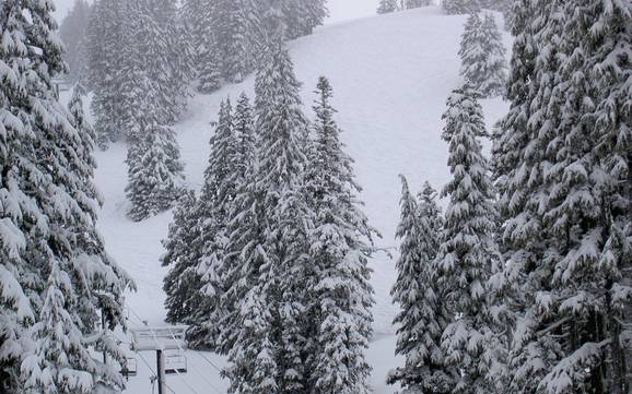 Beste skigebied aan de Mount Hood – Beoordeling Mt. Hood Meadows
