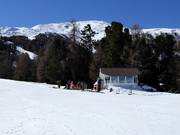 Sneeuwbar Paradiesli bij het bergstation Moosalp-Express