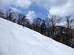 Skigebieden voor gevorderden en off-piste skiërs Hokkaidō – Gevorderden, off-piste skiërs Furano