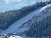 Skigebieden voor gevorderden en off-piste skiërs Schladming-Dachstein – Gevorderden, off-piste skiërs Ramsau am Dachstein – Rittisberg