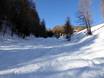Skigebieden voor gevorderden en off-piste skiërs Val di Sole – Gevorderden, off-piste skiërs Pejo 3000