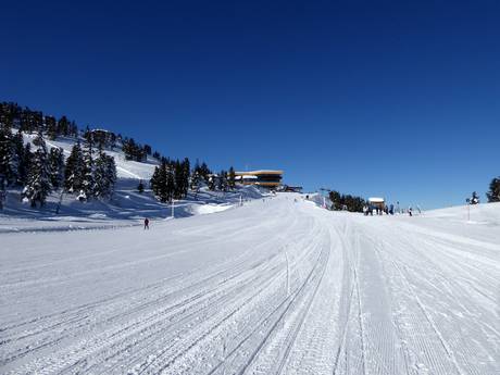 Skigebieden voor beginners in het district Schwaz – Beginners Kaltenbach – Hochzillertal/Hochfügen (SKi-optimal)