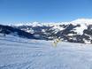 Kitzbüheler Alpen (Bergketen): Grootte van de skigebieden – Grootte Zillertal Arena – Zell am Ziller/Gerlos/Königsleiten/Hochkrimml