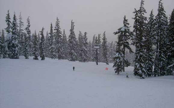 Beste skigebied in Oregon – Beoordeling Mt. Bachelor