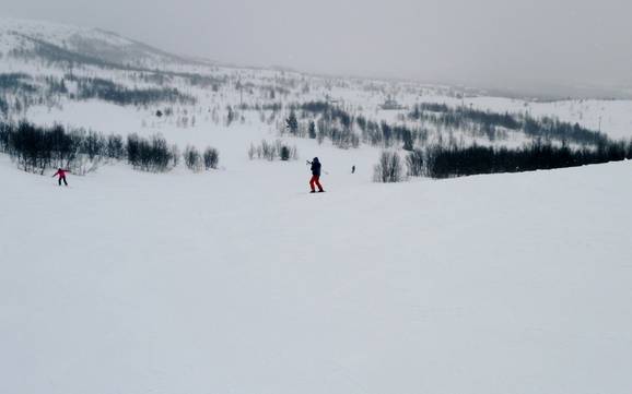 Skigebieden voor beginners in Valdres – Beginners Beitostølen