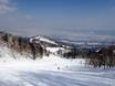 Japan: beoordelingen van skigebieden – Beoordeling Furano
