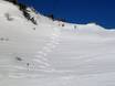 Skigebieden voor gevorderden en off-piste skiërs Tiroler Zugspitz Arena – Gevorderden, off-piste skiërs Biberwier – Marienberg