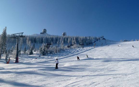 Skiën in het Beierse Woud