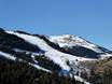 Pyreneeën: Grootte van de skigebieden – Grootte La Molina/Masella – Alp2500