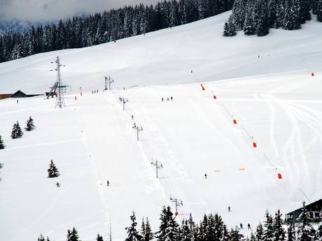 Skigebieden voor beginners in het departement Haute-Savoie – Beginners Espace Diamant – Les Saisies/Notre-Dame-de-Bellecombe/Praz sur Arly/Flumet/Crest-Voland