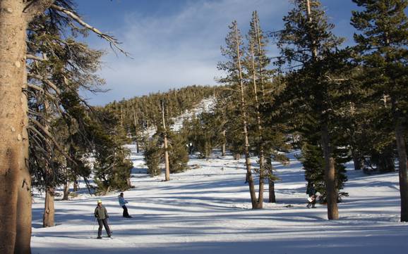 Skigebieden voor beginners in Nevada – Beginners Heavenly