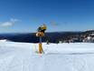 Sneeuwzekerheid Great Dividing Range – Sneeuwzekerheid Mount Hotham