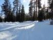 Langlaufen Lapland (Finland) – Langlaufen Ylläs