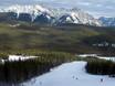 Canadian Rockies: milieuvriendelijkheid van de skigebieden – Milieuvriendelijkheid Nakiska
