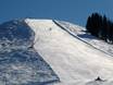 Skigebieden voor gevorderden en off-piste skiërs Kitzbüheler Alpen – Gevorderden, off-piste skiërs St. Johann in Tirol/Oberndorf – Harschbichl