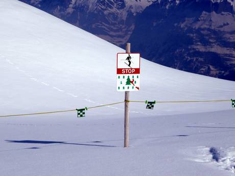 Jungfrau Region: milieuvriendelijkheid van de skigebieden – Milieuvriendelijkheid Kleine Scheidegg/Männlichen – Grindelwald/Wengen