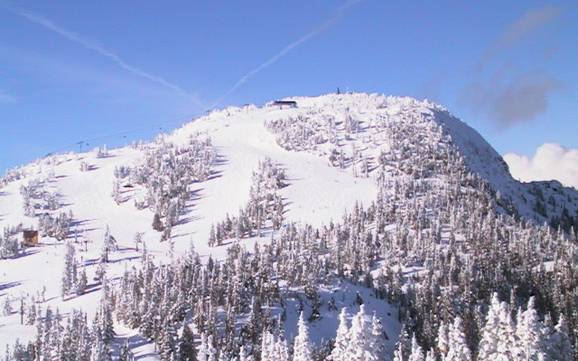 Beste skigebied in het regionaal district Comox Valley – Beoordeling Mount Washington