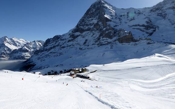 Grootste skigebied in het Berner Oberland – skigebied Kleine Scheidegg/Männlichen – Grindelwald/Wengen